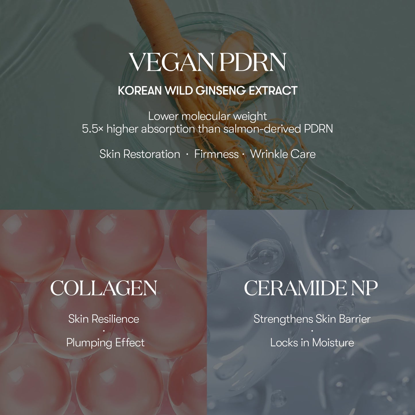 VT cosmetics PDRN STICK BALM