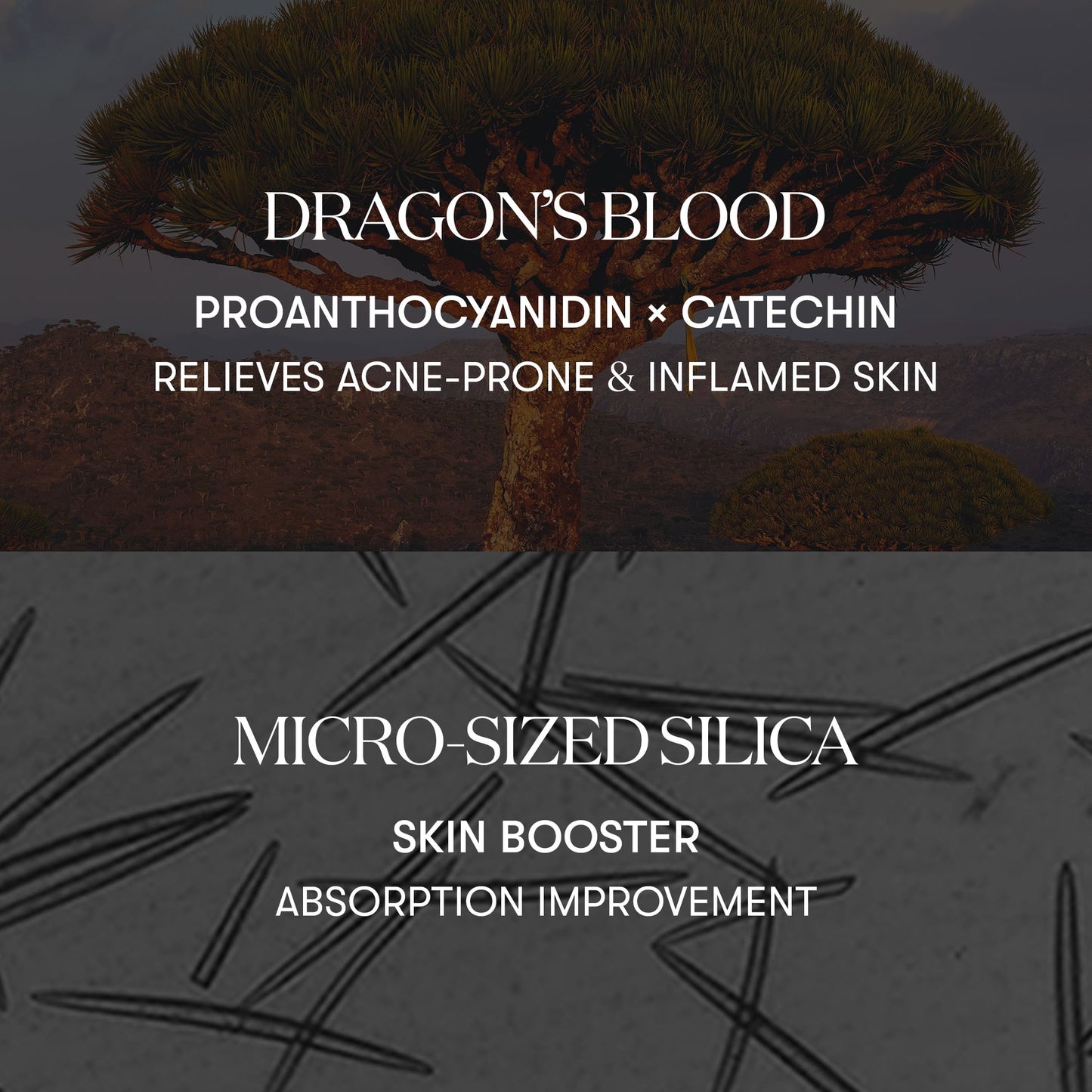VT cosmetics Red Booster Reedle Shot