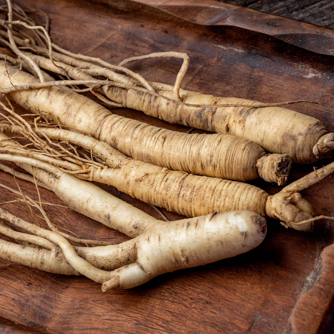 Ginseng - جنسنك