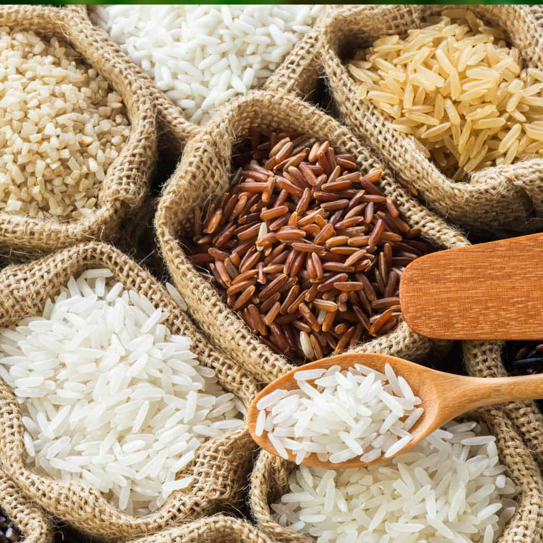 Rice - الرز